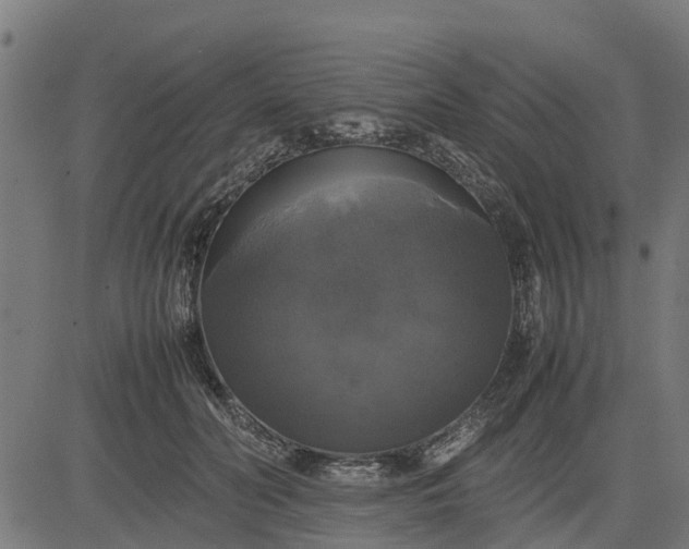 X0000082690606200702091659