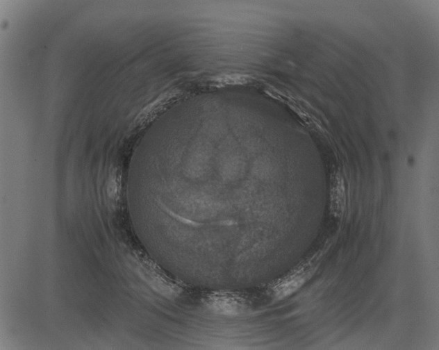 X0000082690608200702091659