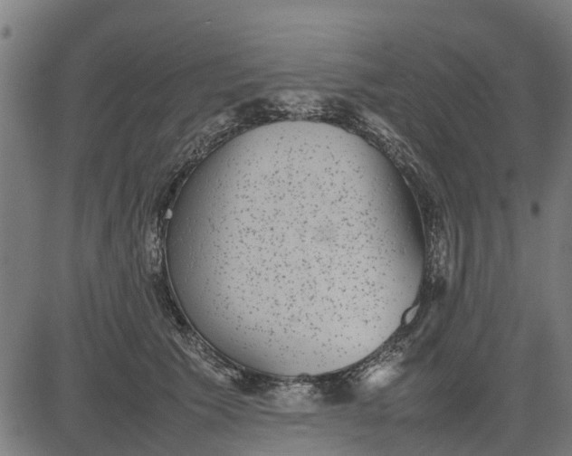 X0000082690609200702091659