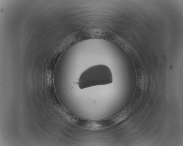 X0000082690610200702091659