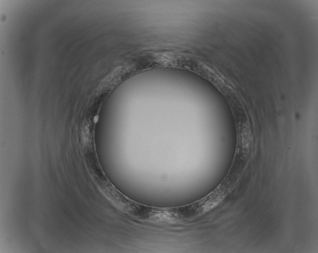 X0000082690611200702091659