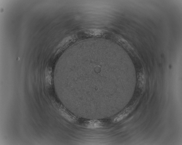 X0000082690612200702091659