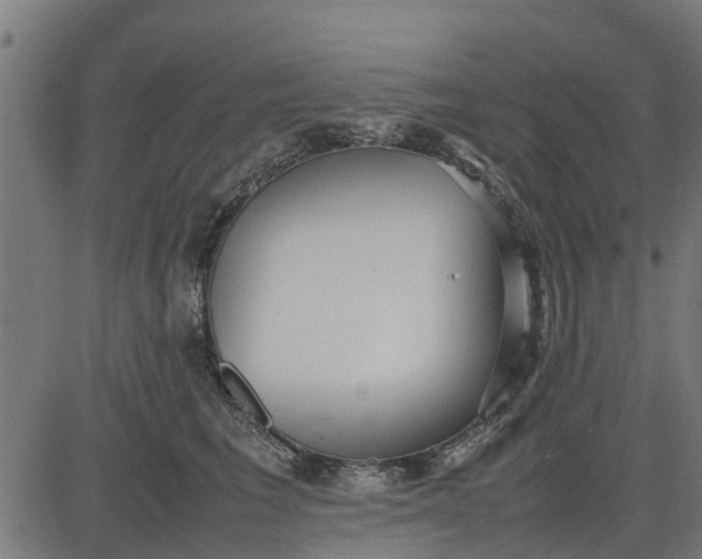 X0000082690613200702091659