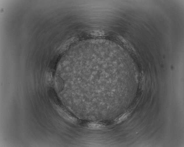 X0000082690614200702091659