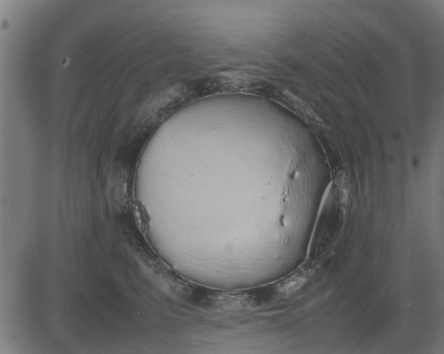 X0000082690615200702091659