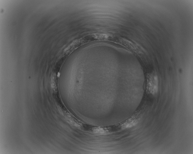 X0000082690616200702091659