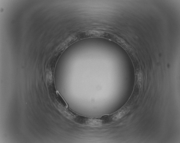 X0000082690617200702091659