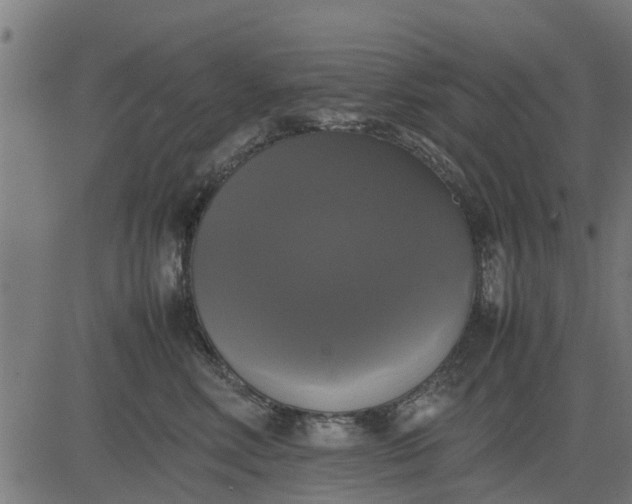 X0000082690618200702091659