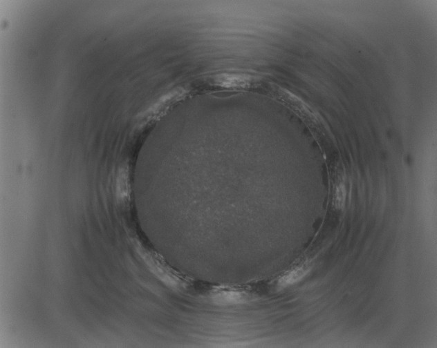 X0000082690620200702091659