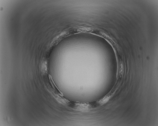 X0000082690621200702091659