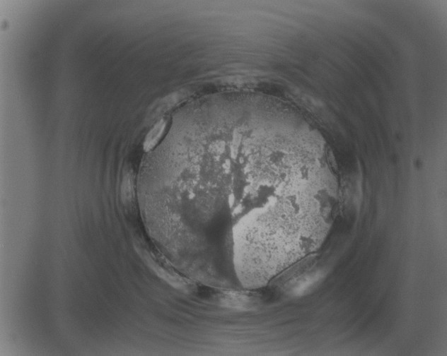 X0000082690623200702091659