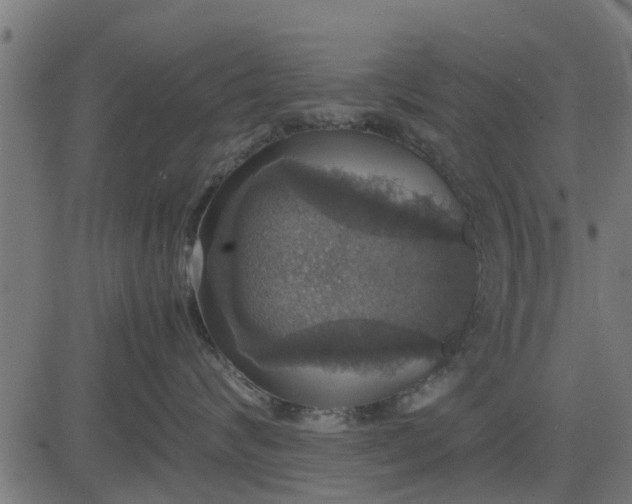 X0000082690624200702091659