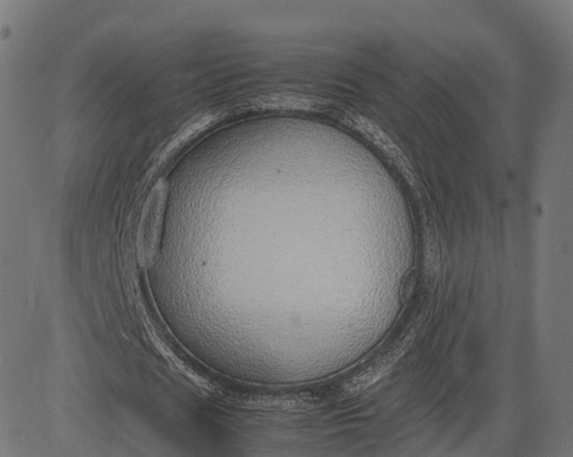 X0000082690625200702091658