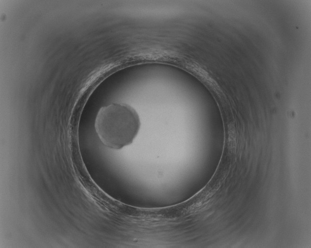 X0000082690626200702091658