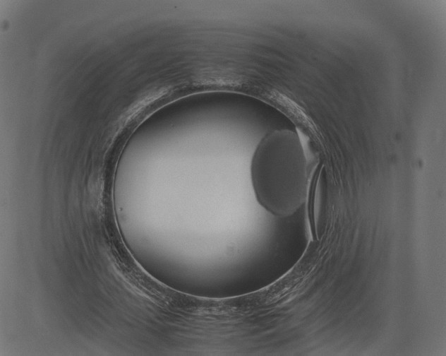 X0000082690627200702091658