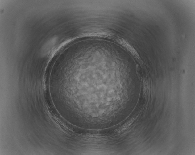 X0000082690628200702091658