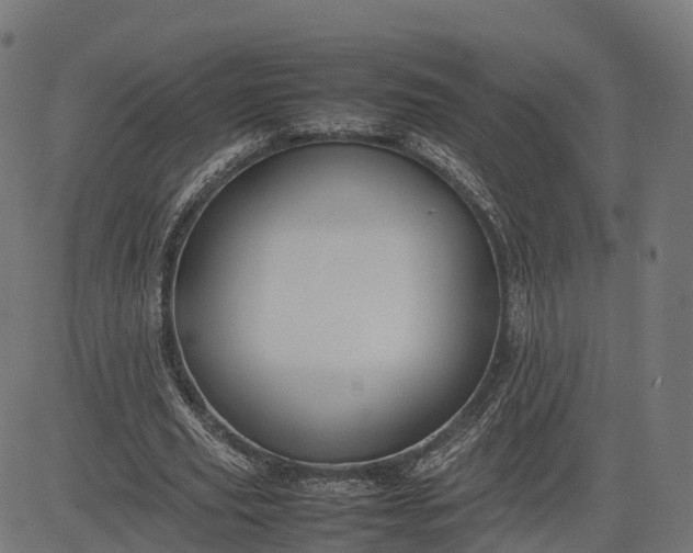 X0000082690629200702091658