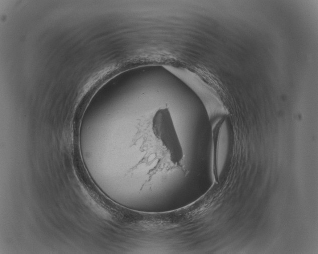 X0000082690630200702091658