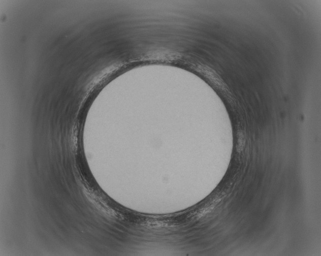 X0000082690632200702091658