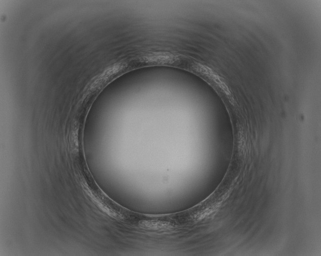 X0000082690633200702091658