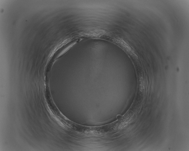 X0000082690634200702091658