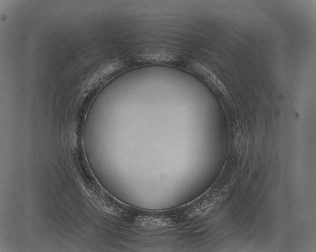 X0000082690635200702091658