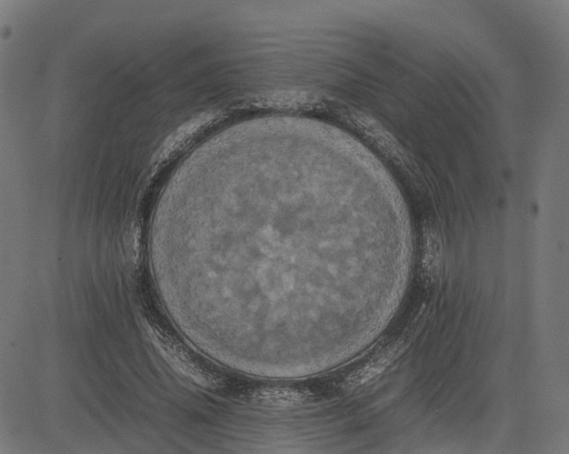 X0000082690636200702091658