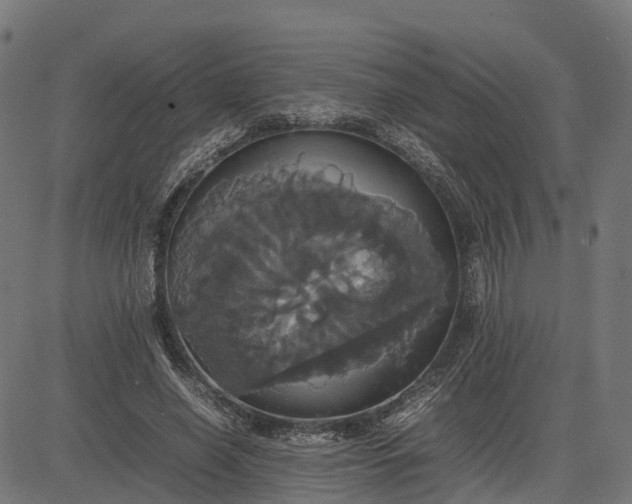 X0000082690638200702091658