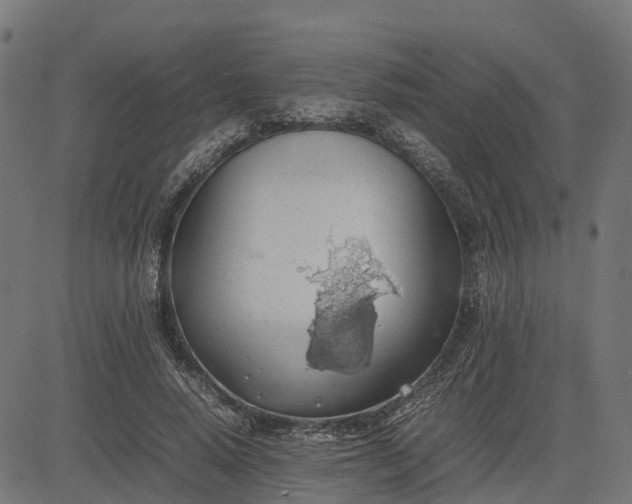 X0000082690640200702091658