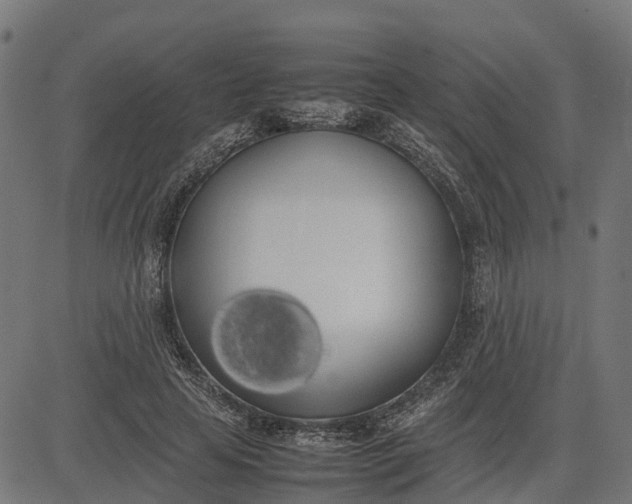 X0000082690641200702091658