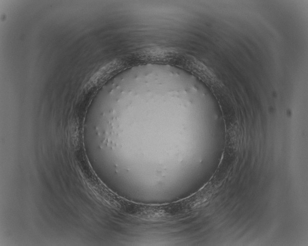 X0000082690642200702091658