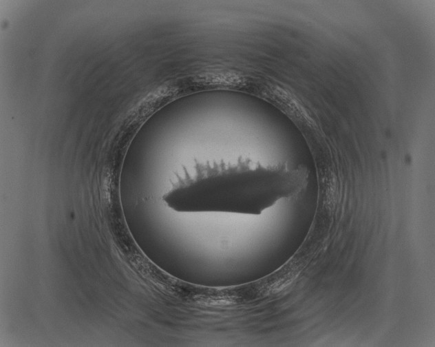 X0000082690643200702091658