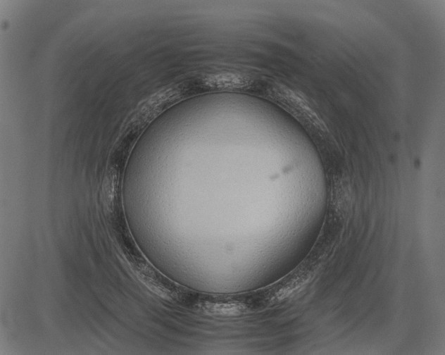 X0000082690645200702091658