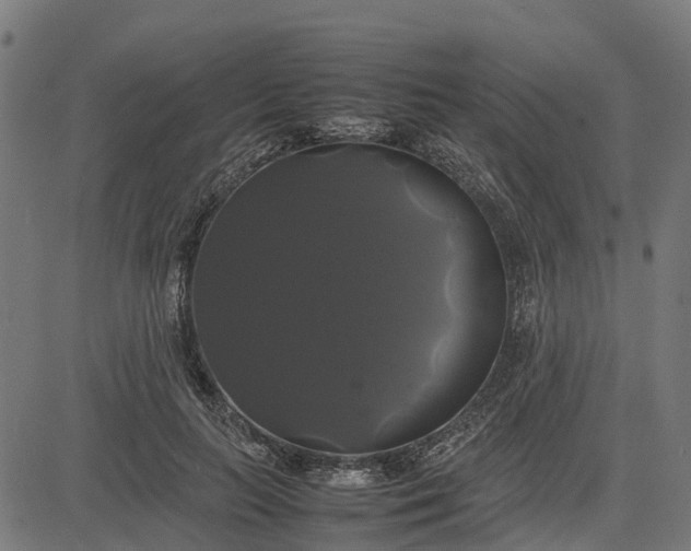 X0000082690647200702091658