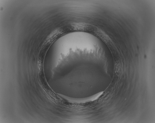 X0000082690648200702091658