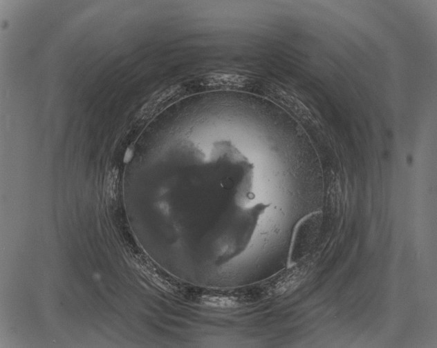 X0000082690649200702091658