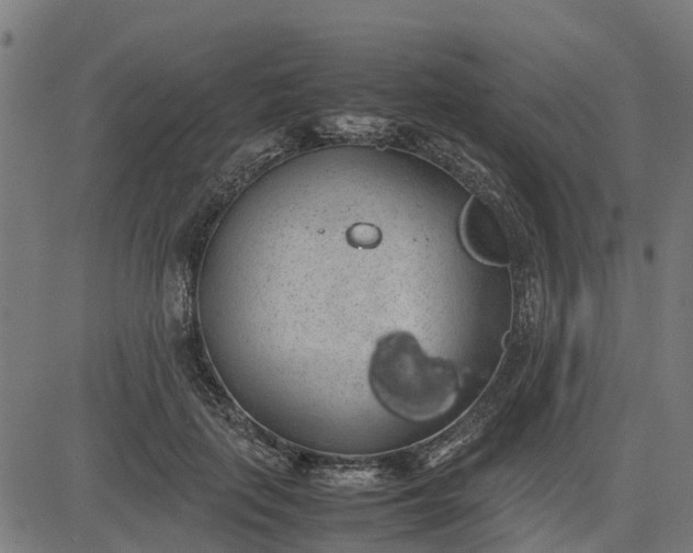 X0000082690651200702091658