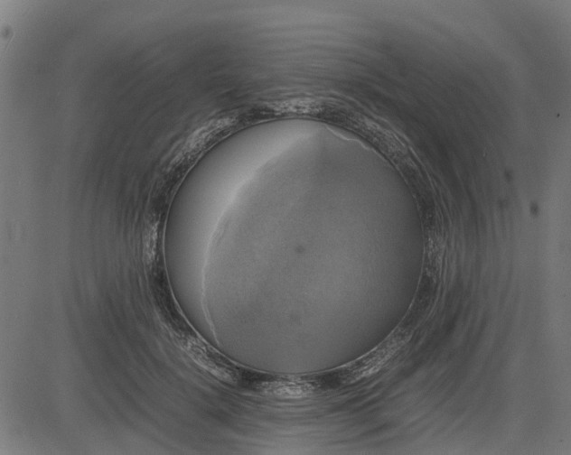 X0000082690652200702091658