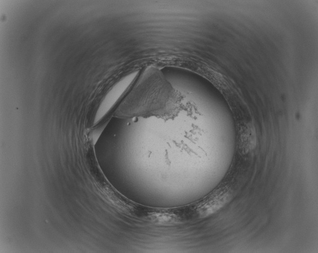 X0000082690654200702091658