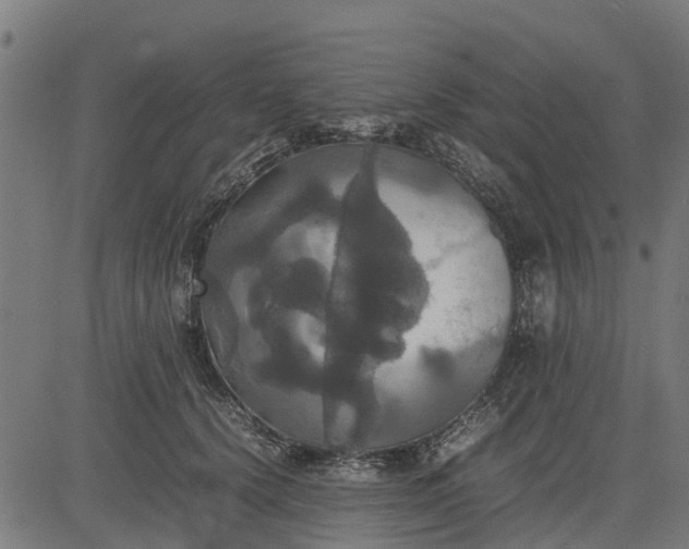 X0000082690656200702091658