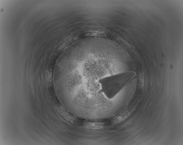 X0000082690657200702091658