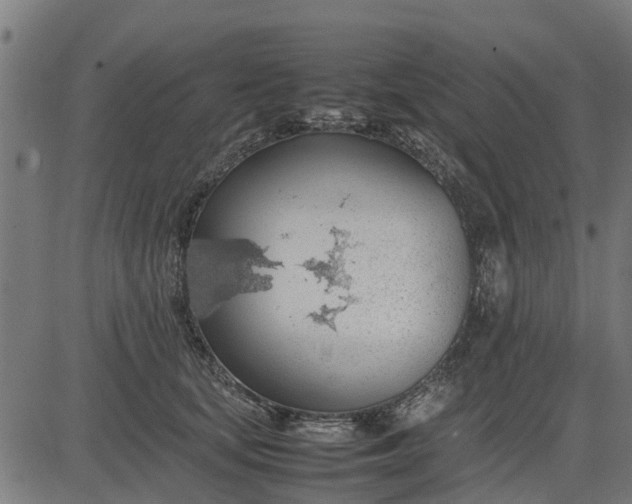 X0000082690659200702091658