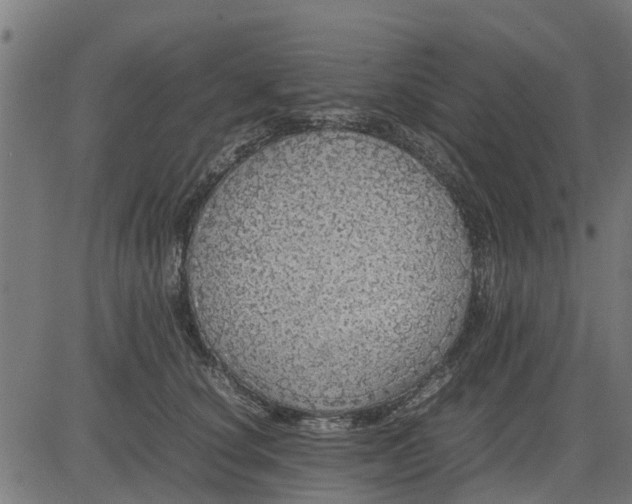 X0000082690660200702091658