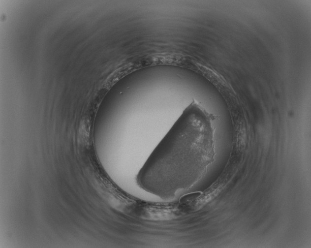 X0000082690661200702091658