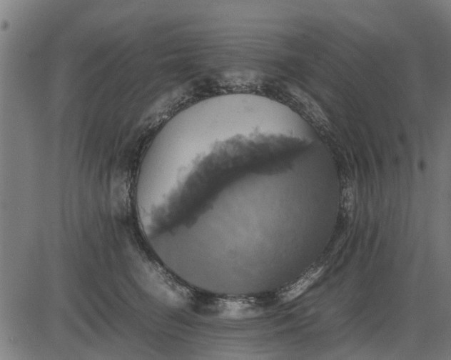 X0000082690662200702091659