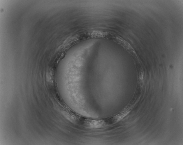 X0000082690663200702091659