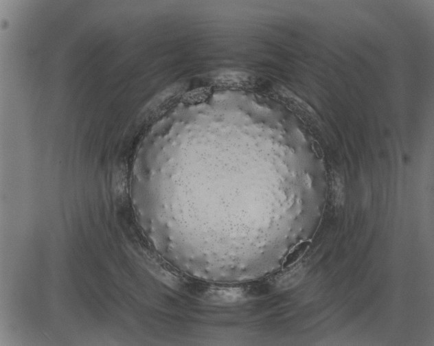 X0000082690665200702091659