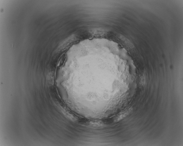 X0000082690666200702091659