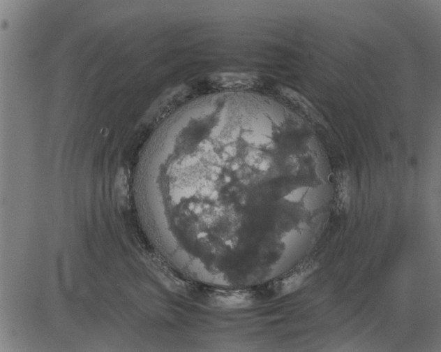 X0000082690667200702091659