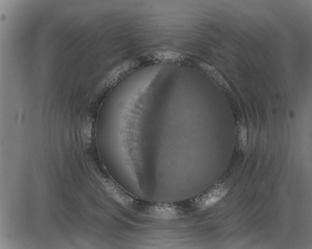 X0000082690668200702091659